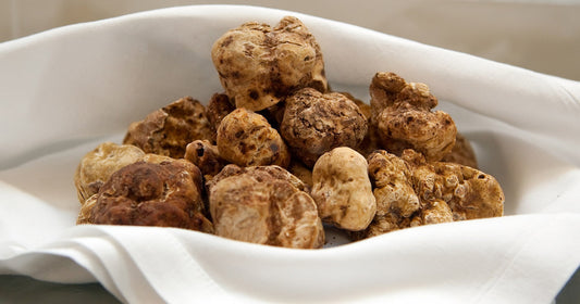 Gemme Nascoste di San Miniato: Caccia al Tartufo e Delizie Culinarie