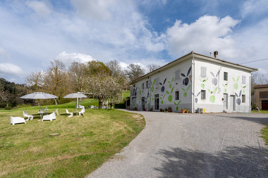 Inserrata x WineTourism.com: una nuova esperienza autentica tra le colline toscane