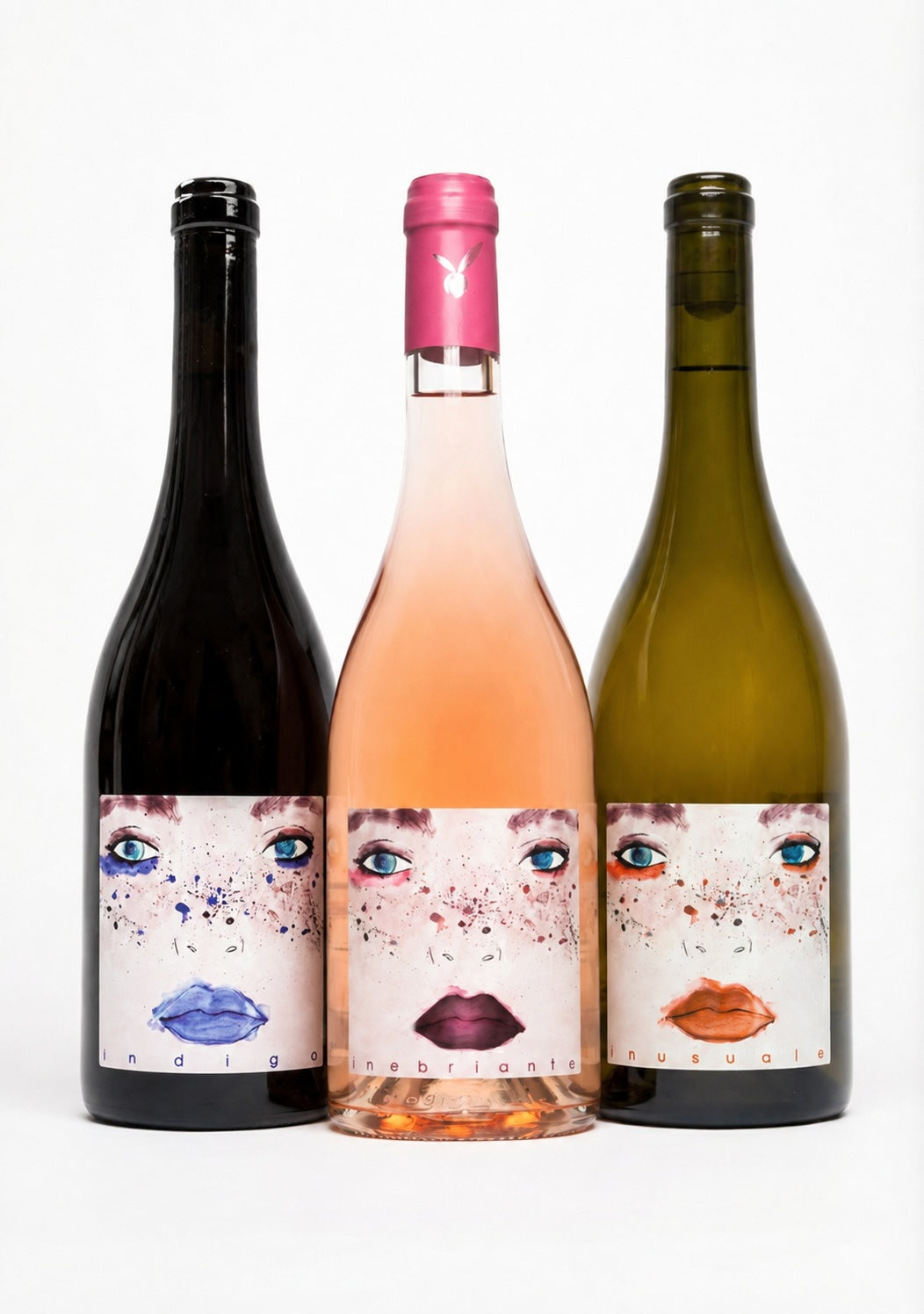 Degustazione vini biologici Inserrata — Indigo, Inebriante e Inusuale