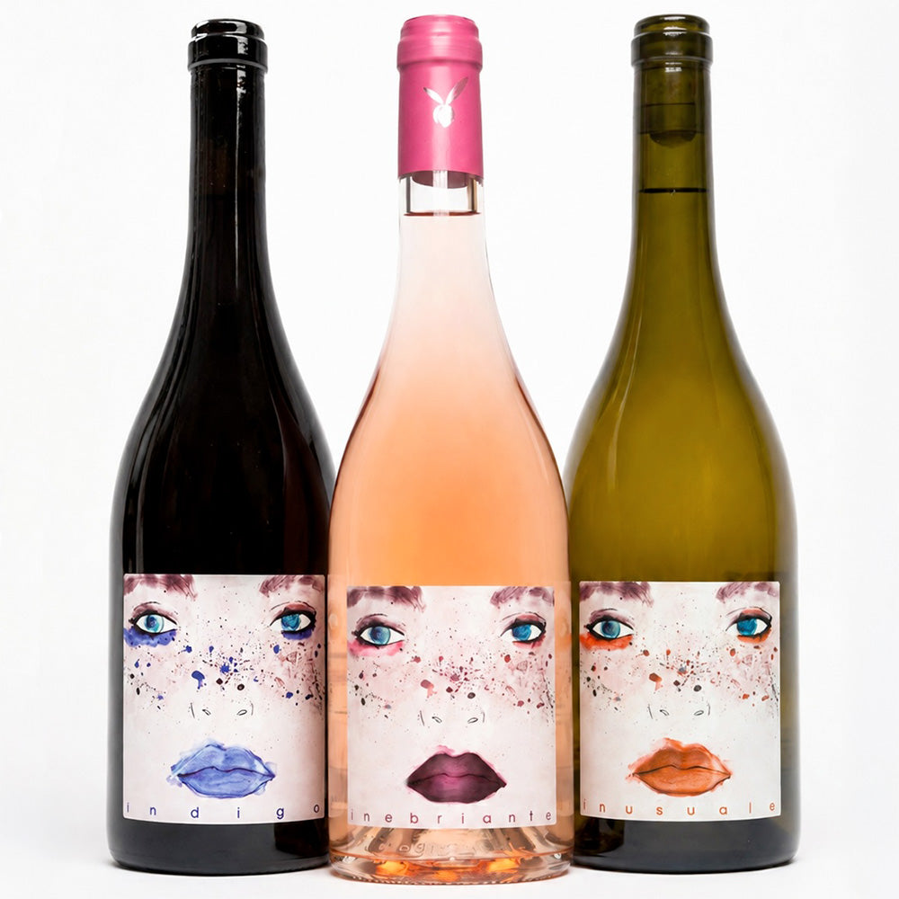 Simple wine tasting at Inserrata organic farm in san miniato tuscany