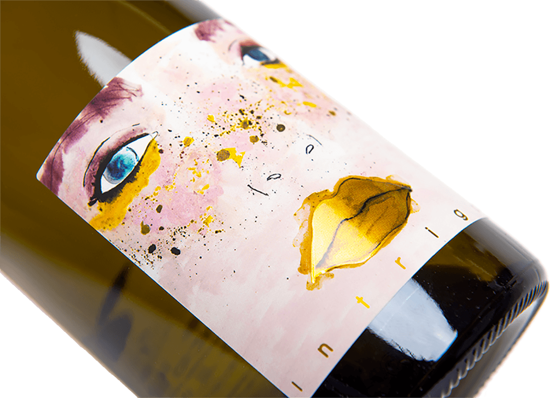 Intrigo vino bianco chardonnay biologico san miniato