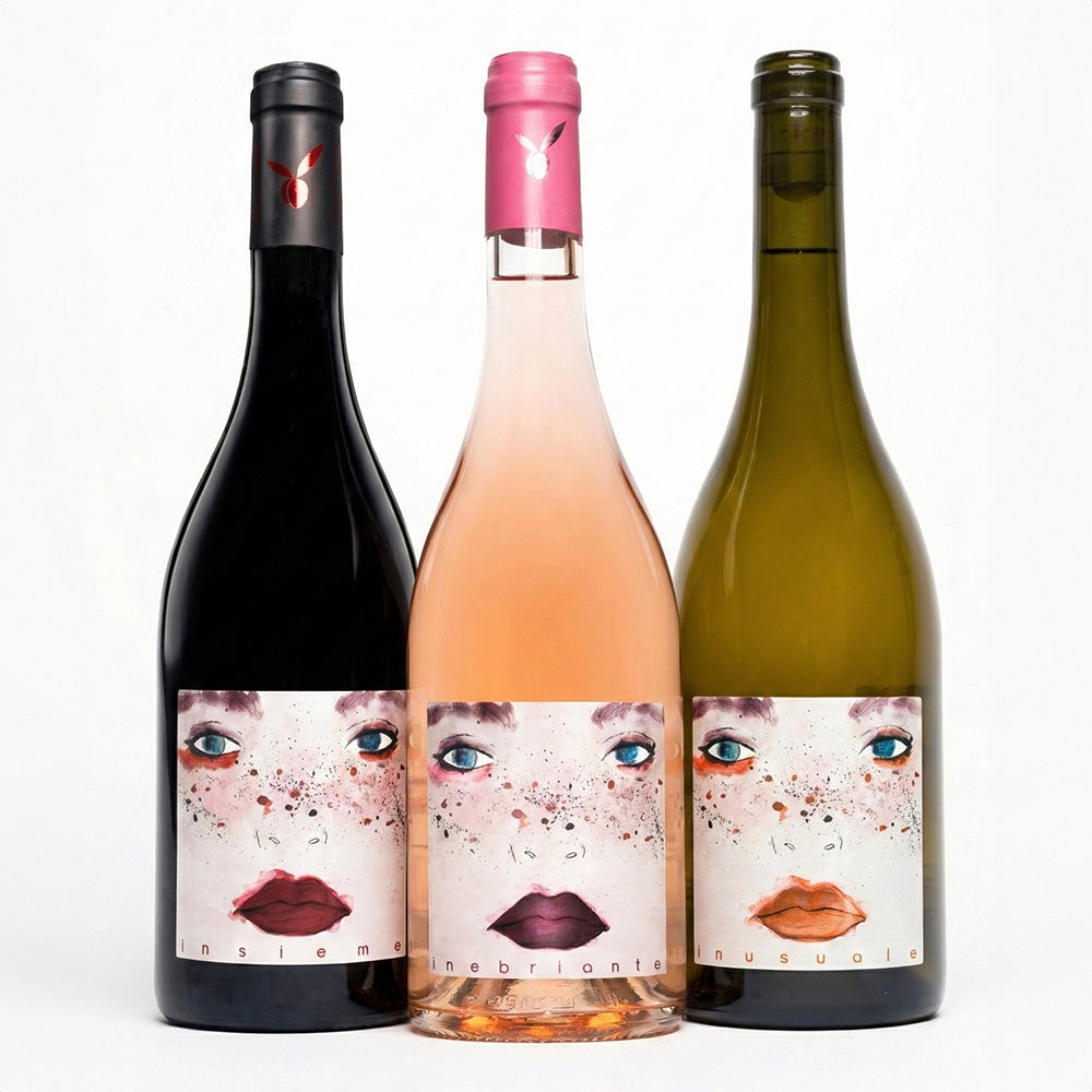 inserrata organic wine tasting san miniato pisa tuscany 3 wines