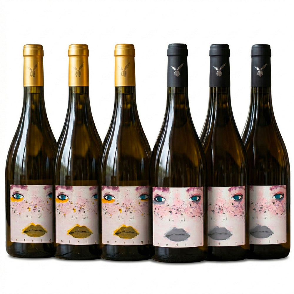 Degustazione in Cantina di Vino a San Miniato