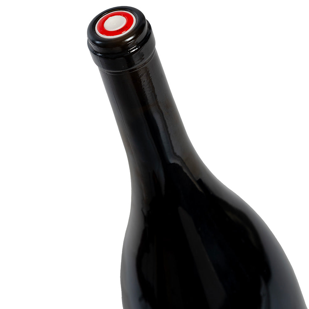 Insieme – Biologischer Rotwein Merlot IGT