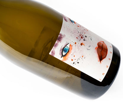 white wine sangiovese san miniato