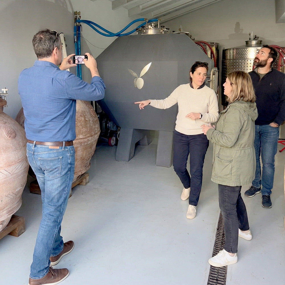 wine tasting nearby pisa at organic winery inserrata