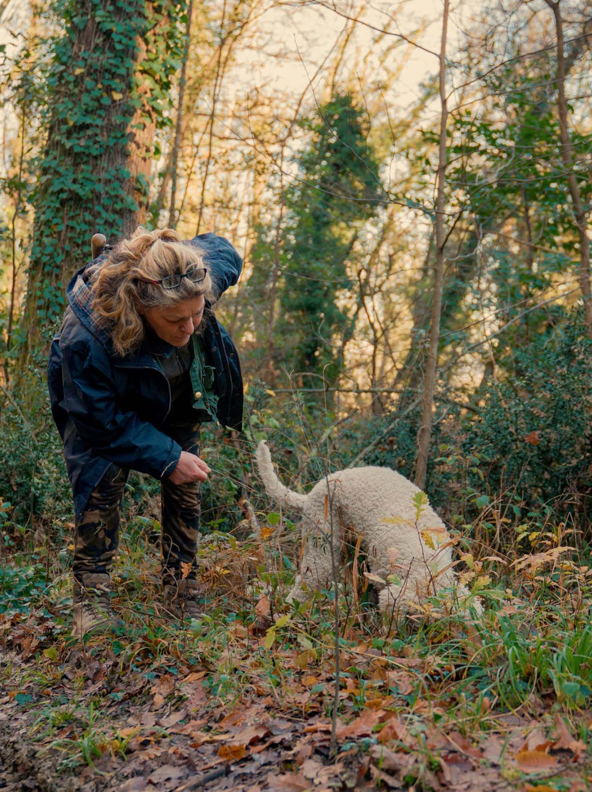 where to do truffle hunting in tuscany