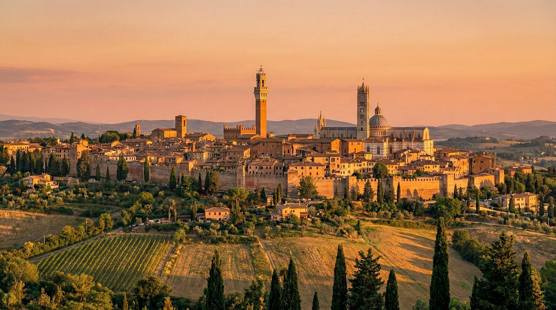 wine tasting nearby siena at organic winery inserrata