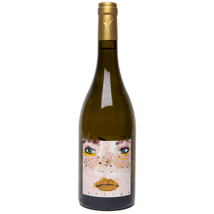 Intrigo vino bianco chardonnay biologico san miniato 