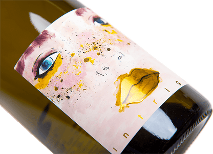 Intrigo vino bianco chardonnay biologico san miniato 